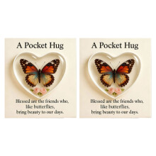 Elegant Clear Acrylic Butterfly Pocket Hug with Card-Orange