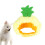 2 Pet-Ananas-Hut Mutter Süße Für Katzen 10