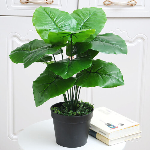 Τεχνητό Δαπέδο Canna Violet, Ρεαλιστικό Ψεύτικο Φυτό 30 ιντσών με Ζωντανά Φύλλα, Εύκολη 1