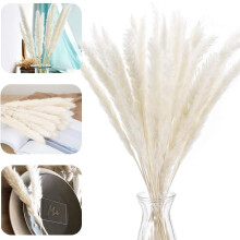 Buquê de flores boho, plumas decorativas naturais que realçam seus espaços com um toque rústico e campestre para festas (30 unidades, cor natural)