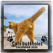 (MPG) Humorous 2026 Cat Calendar Unique Wall Calendar with Funny Cat and Scenic Background Ideal Christmas Gift for Cat Enthusiasts