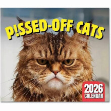 (FN) Humorous 2026 Cat Calendar Unique Wall Calendar with Funny Cat and Scenic Background Ideal Christmas Gift for Cat Enthusiasts