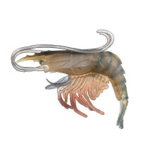 (Green Shrimp)High Simulation Shrimp Squid Ocean Animal Model Figurine Table Decor Kids Toy