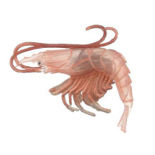 (Red Shrimp)High Simulation Shrimp Squid Ocean Animal Model Figurine Table Decor Kids Toy