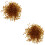 2 Packs De 500 G En Pour Aquarium 6