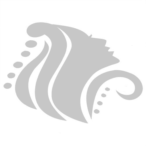 Αφαιρούμενες τοιχογραφίες αυτοκόλλητες με ηλίανθο, αδιάβροχα αυτοκόλλητα 2