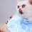 Extra Small Cone Soft Collar Adjustable Fasteners For Post Surgery Care Licking Prevention 5