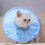 Extra Small Cone Soft Collar Adjustable Fasteners For Post Surgery Care Licking Prevention 4