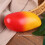 Pack of 6 Realistic Fruits Models Artificial Fruit-orange 5