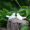 3 X Stokje Houders 9