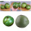 Delicate Artificial Coconuts for Poolsides, & Beach-large 3