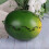 Realistic Watermelon Model Party Decors-big round watermelon 5