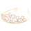 2Stück Diadem Kopfschmuck Gold 10