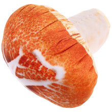 2 . 20 Cm 3D Shiitake Kissen Abnehmbar Waschbar Plüschtiere