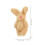 15 Pièces Maison De Peluche Miniature Figurines Ours 10