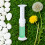 60 g Toilettengel, lang anhaltender Duft, 6