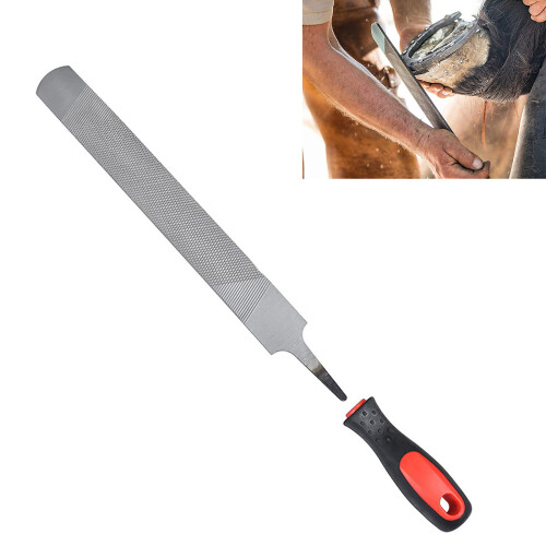 Practical Horse Care Rasp Corrosion Resistant Material-8 inches 2