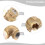 Spray Nozzle 1Pc Adjustable Brass For Misting System 4Hole Fountain Atomization Agriculture Irrigation 5