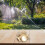 Spray Nozzle 1Pc Adjustable Brass For Misting System 4Hole Fountain Atomization Agriculture Irrigation 4