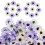 200 Mini Sonnenblumenköpfe Für Bastelarbeiten 3