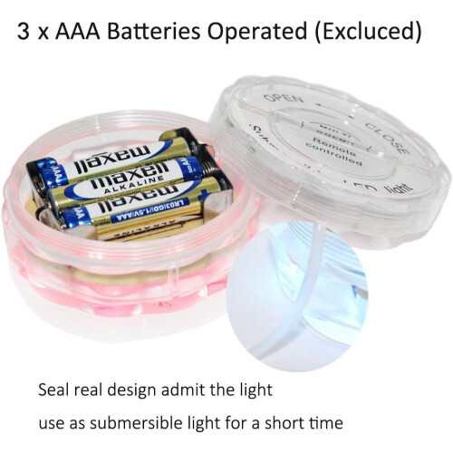 Υποβρύχια φώτα LED RadiancePro, Δυναμικές λειτουργίες αλλαγής χρώματος για πισίνα και 2