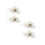2 Paar - - -Schnalle -Clip 10