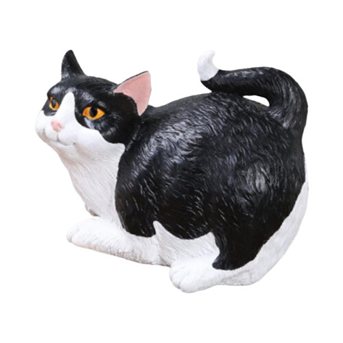 Elegant Tissue Storage Box with Resin Fabric for-black cat
