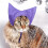 Adjustable Cats Bath Caps Water Resistant Ear Protections-Green 6