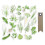 20 forme ritagliate orto + 20 etichette kraft bandierina 1