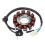 Generator Stator Coil for XR150L 2015 2016 XL125L 4