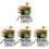 4Stk Künstliche Bonsai Wohnaccessoire 4