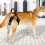 Dog Mobility Harnesses Comfortable Pet Slings Durability Dog-L 6