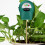 Moisture Tester Multi-Level Display Plant Soil Fertility Tester 3