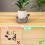 Deep Plant Saucer, Bottom Watering Tray 4