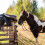 10 Pack Tie Ring for Horse,Block Tie Ring with Screws 5