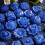 Casting Wax Block, Carving Wax for Making DIY Casting Mold,Blue 2