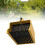 2PCS Berry Picker with Comb, Easier Berry Picking and Harvesting Tool 5