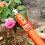 Grape Picking Tool Multifunctional Kitchen Chopping Gadgets 5