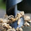 Outdoor Auger Drill Bits Camping BushcraftManual Hole Maker 4