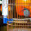 24 Pcs Bird Drinker Feeder Cups Water Bottle Cup for Cage Blue 6