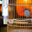 24 Pcs Bird Drinker Feeder Cups Water Bottle Cup for Cage White 4