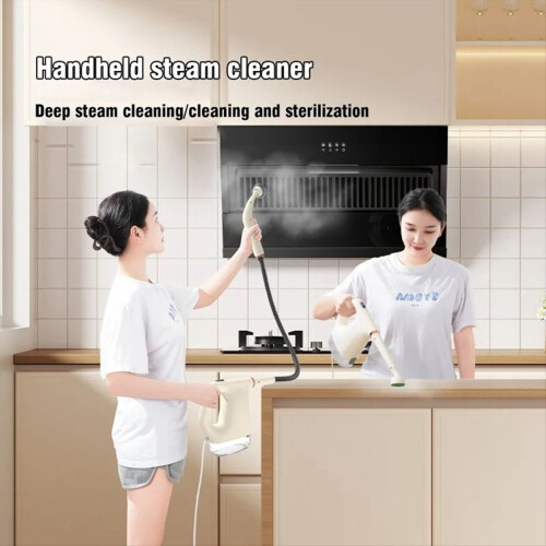 Handdampfreiniger 2