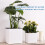 Moisture Meter Plants Watering Indicator,15pcs Plants, Water Level Indicator Soil 7