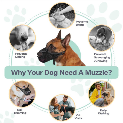 Breathable Mesh Dog Muzzle Anti-Bite Strap Dog Mouth Cage Black,L 1