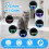 Lighted Cat Collars for Night
Cat Collar 5