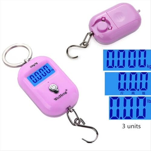 Μίνι κρεμαστή ζυγαριά 25kg 5g με γάντζο και ζυγαριά 1