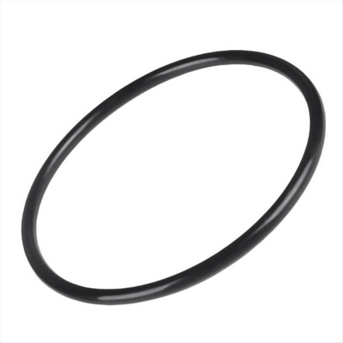 Δακτύλιος Ο-Κεφαλής Φίλτρου για SwimClear C100S/C150S/C200S
