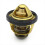 GTS300 Koelthermostaat, Goud 4