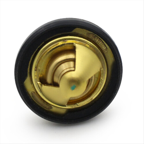 GTS300 Koelthermostaat, Goud 1