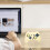 Cat Silicone Protective Case Switch 2 7